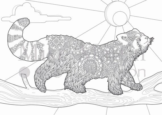 Printable red panda coloring page instant download adult coloring page