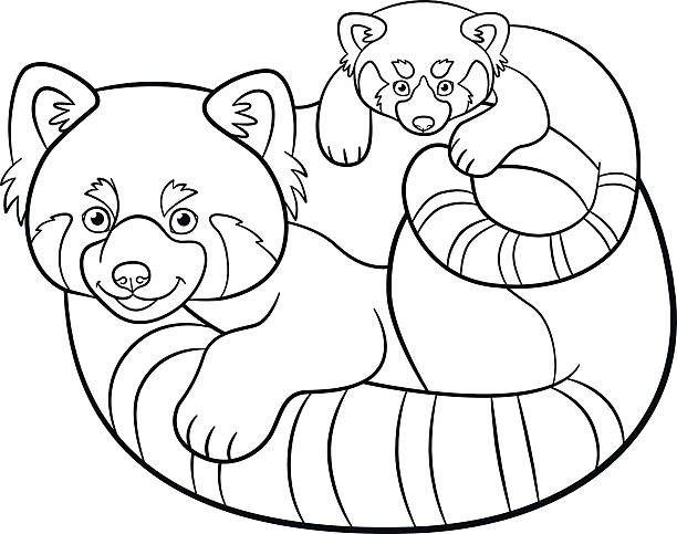 Coloring pages mother red panda with her baby stock illustration