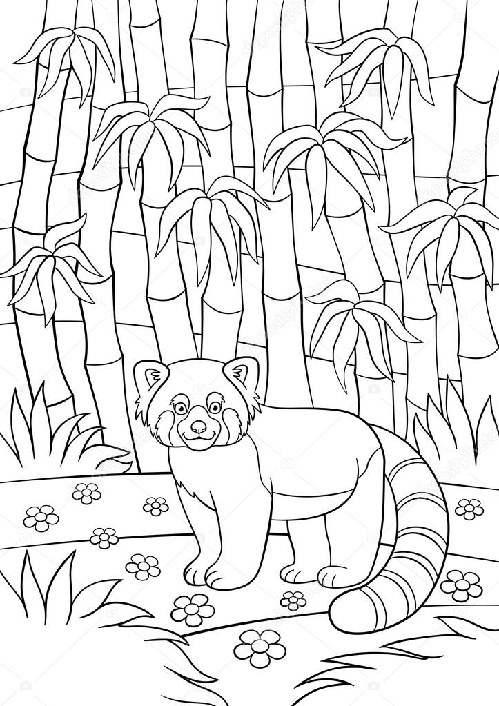 Coloring pages little cute red panda in the forest stock vector by ya