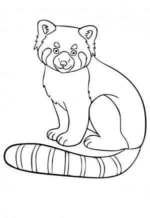 Free printable red panda coloring pages for adults and kids