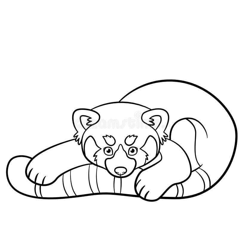 Coloring pages little cute red panda stock vector