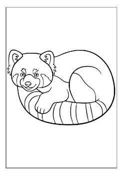 Explore natures palette printable red panda coloring sheets for children