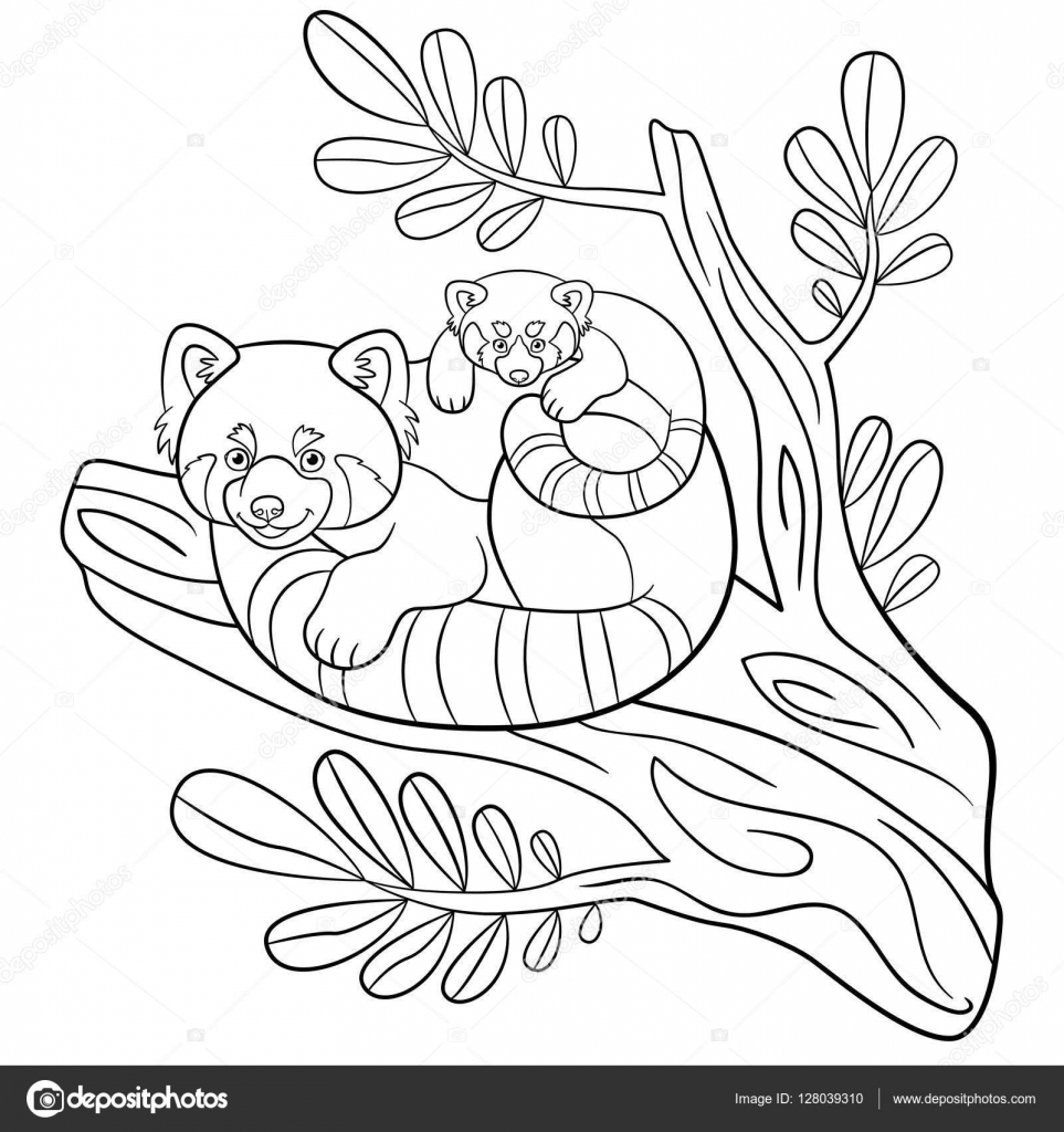 Coloring pages mother red panda with her cute baby stock vector by ya