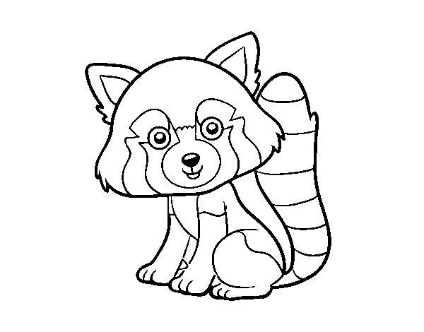 Red panda coloring page