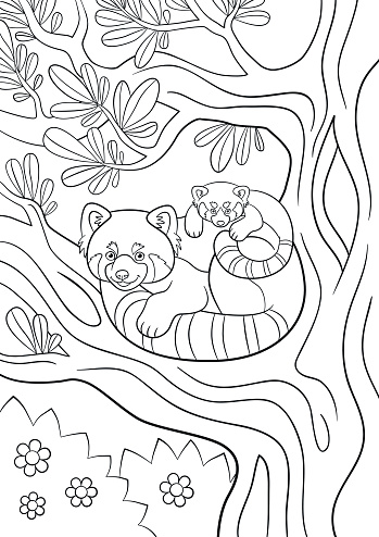 Coloring pages mother red panda with her cute baby stock vector royalty