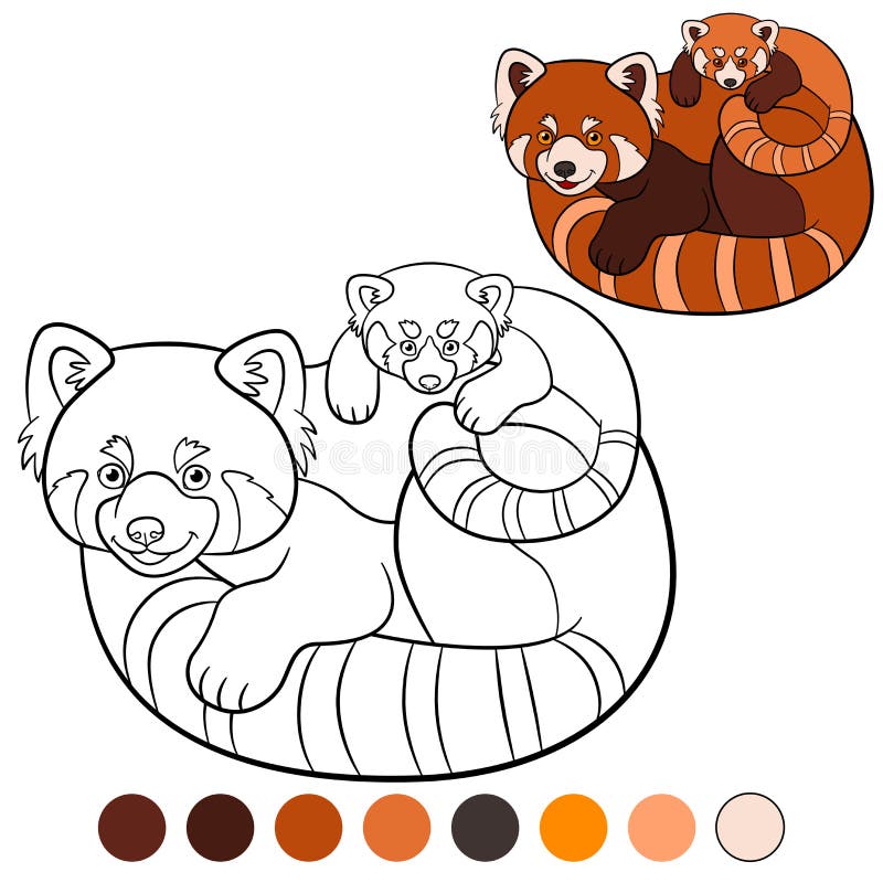 Red panda coloring page stock illustrations â red panda coloring page stock illustrations vectors clipart