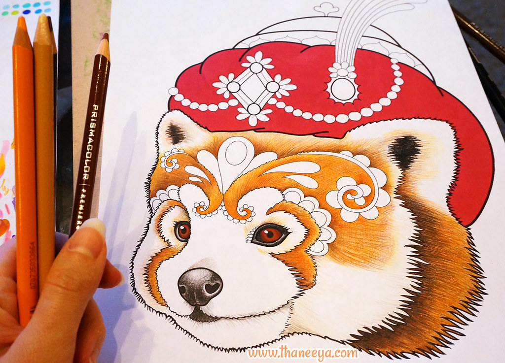 Red panda coloring page by thaneeya mcardle heres a progrâ