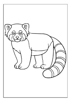 Discover natures wonders printable red panda coloring sheets for children