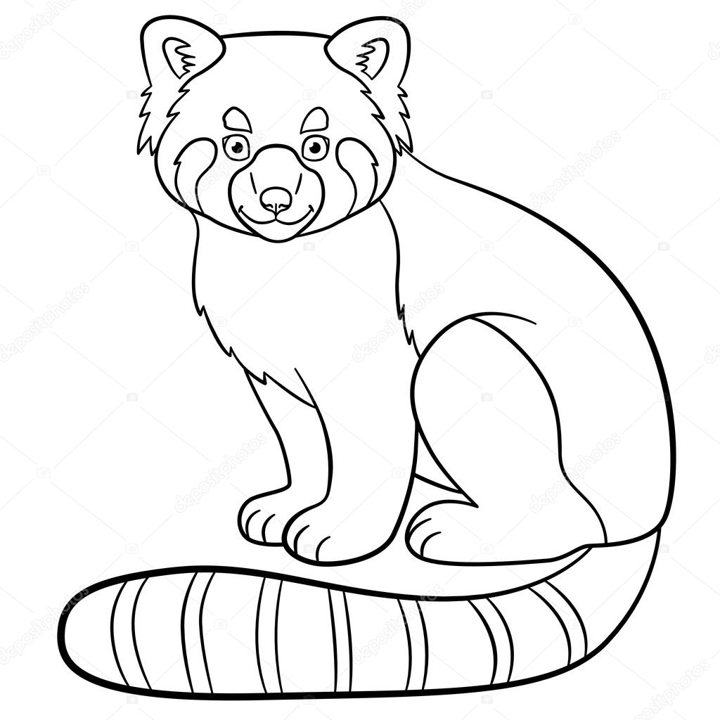 Coloring pages little cute red panda smiles stock vector by ya