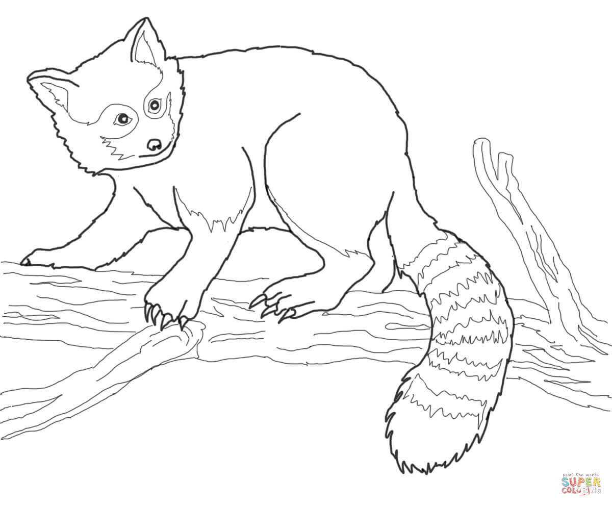 Red panda on tree coloring page free printable coloring pages