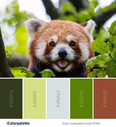 Red panda color palette ideas in