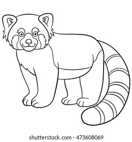 Coloring pages little cute red panda stock vector royalty free