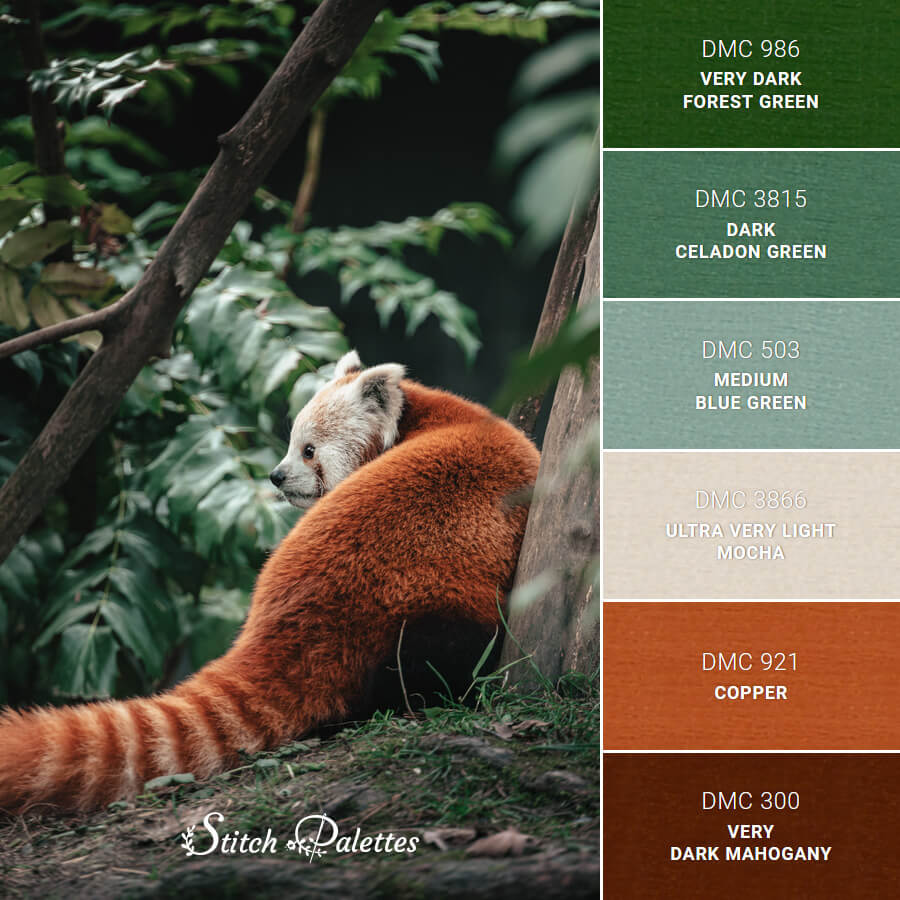 Endangered red panda