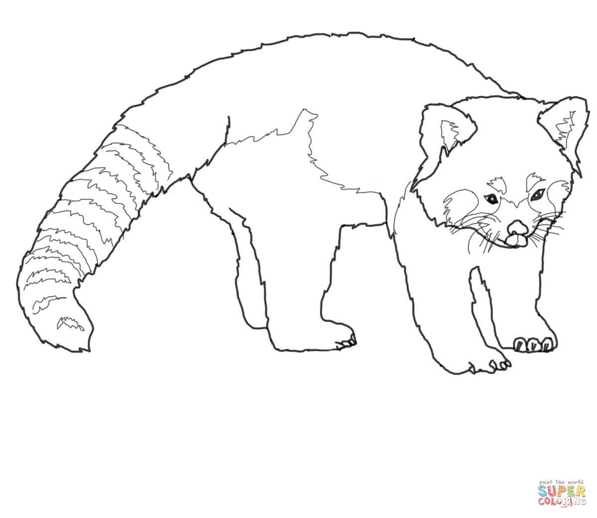 Cute red panda coloring page free printable coloring pages