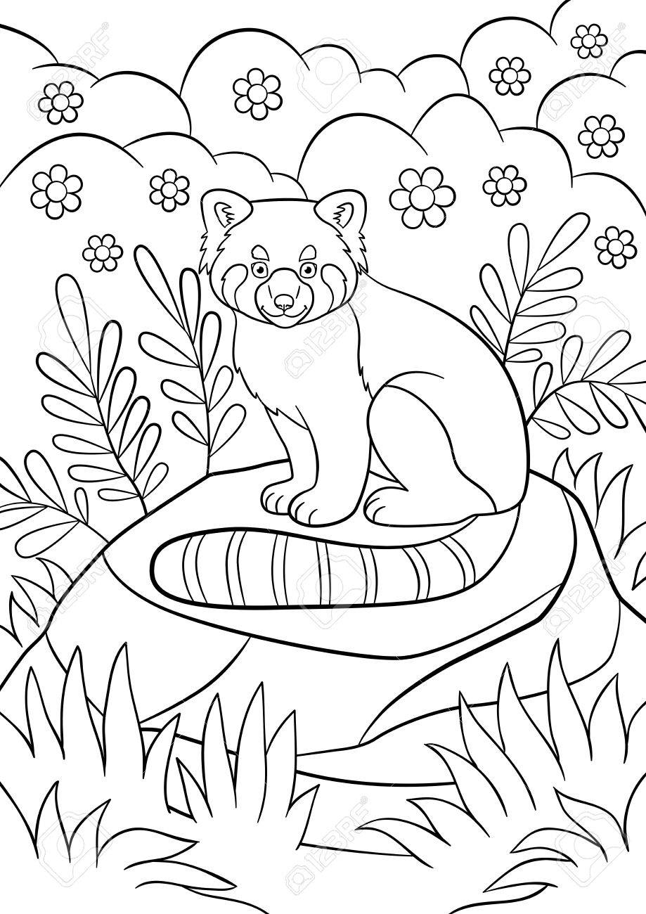 Coloring pages little cute red panda sits on the stone in the forest and smiles royalty free svg cliparts vectors and stock illustration image