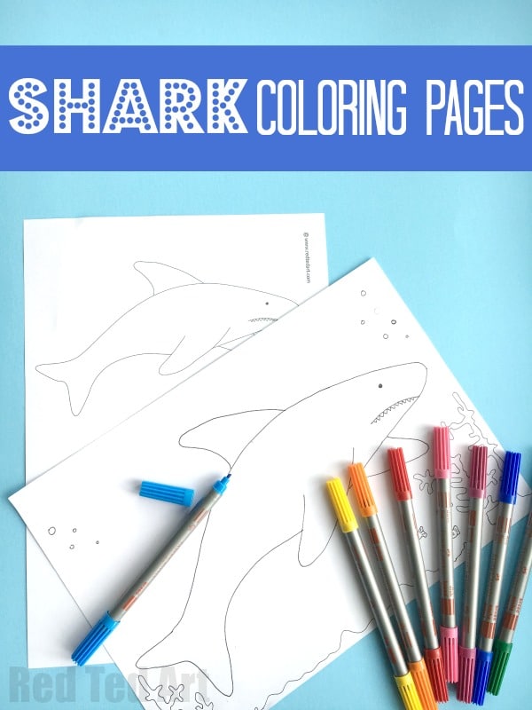 Shark coloring pages for kids