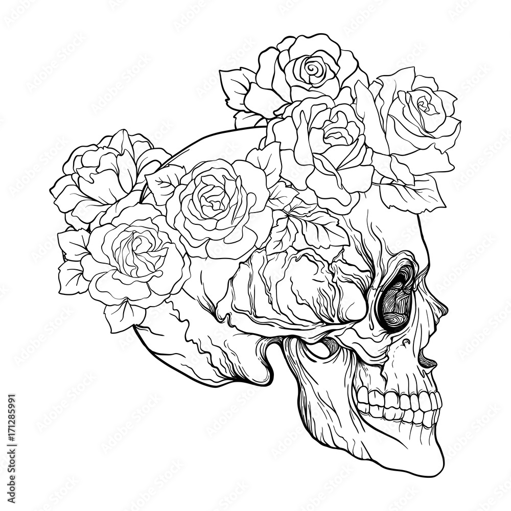 Sugar skull with decorative pattern and a wreath of red roses line vector illustration outline hand drawing coloring page for adult coloring book