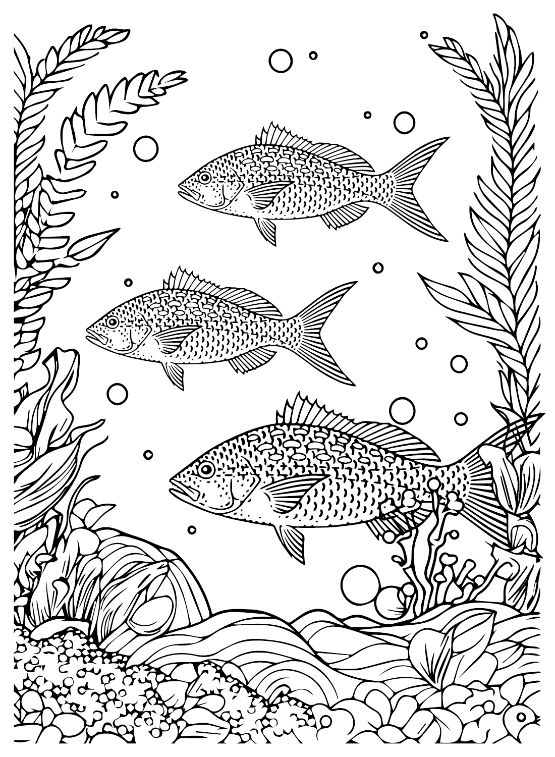 Red snapper coloring page