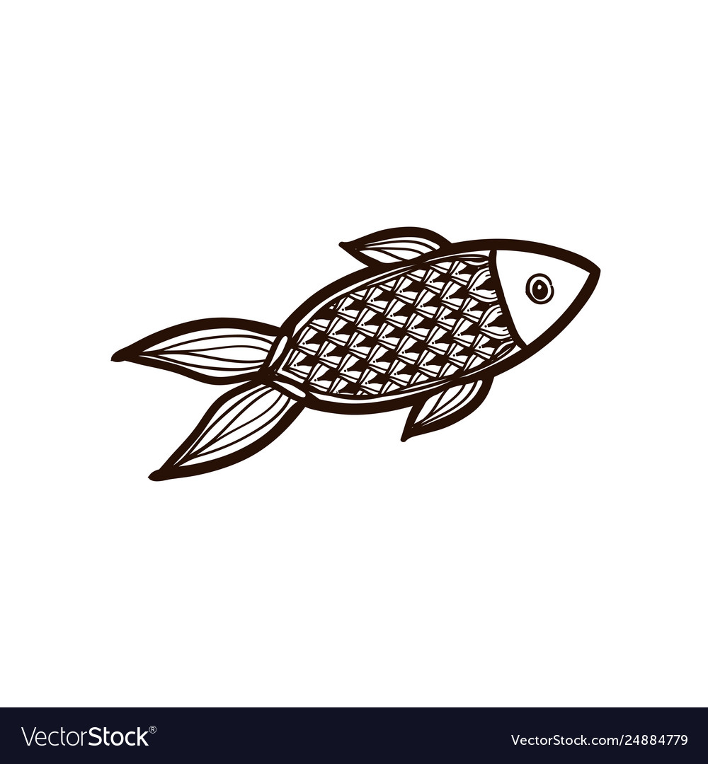 Red fish isolated coloring book royalty free vector image