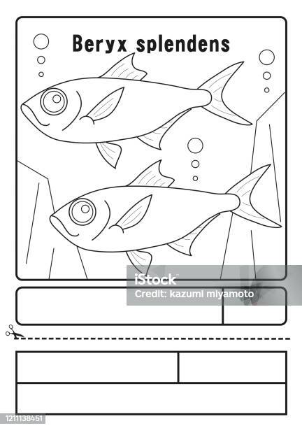 Coloring picture golden eyebrow red snapper beryx splendens character illustration stock illustration