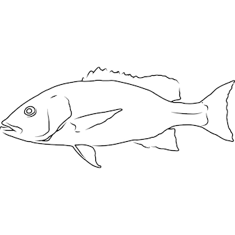 Page big fish coloring pages images