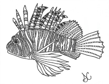 Lion fish coloring page by stephanie chambers tpt