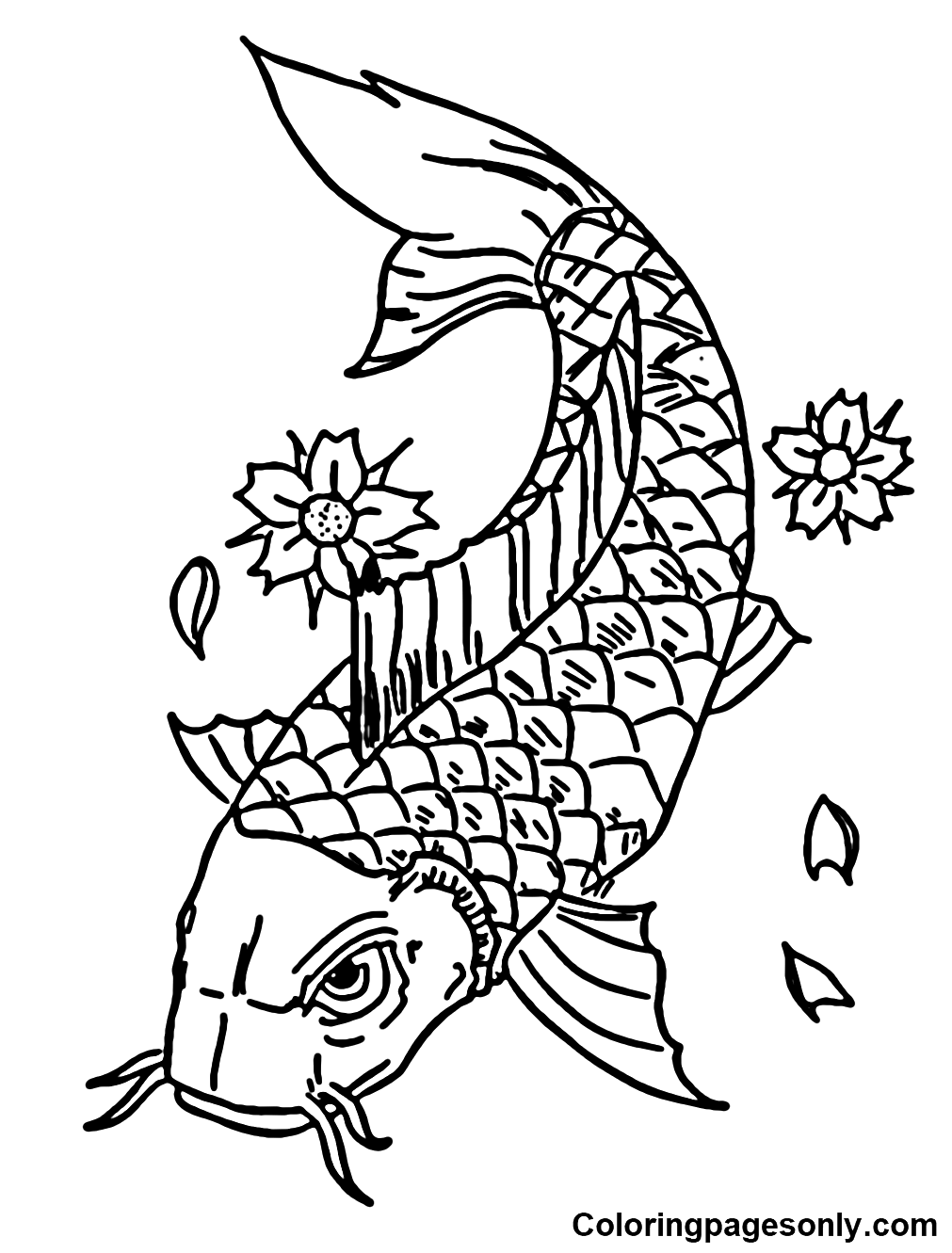 Koi fish coloring pages printable for free download