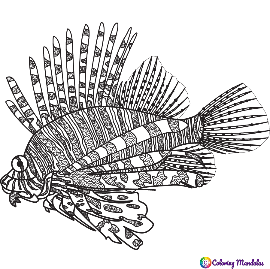 Lionfish