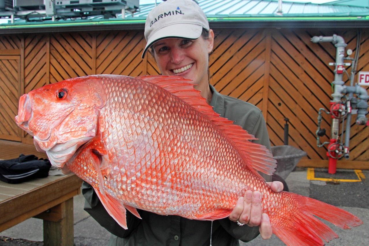 Red snapper