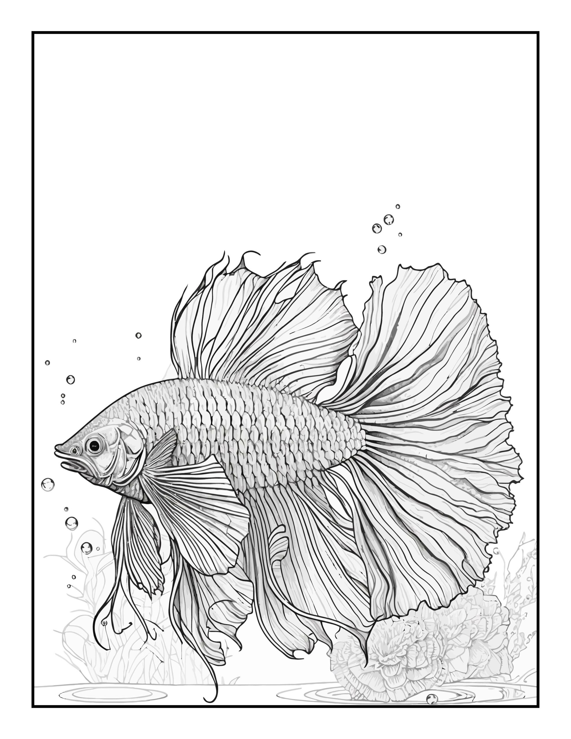 Make a splash with the aquarium fish coloring book pages of underwater fun made by teachers
