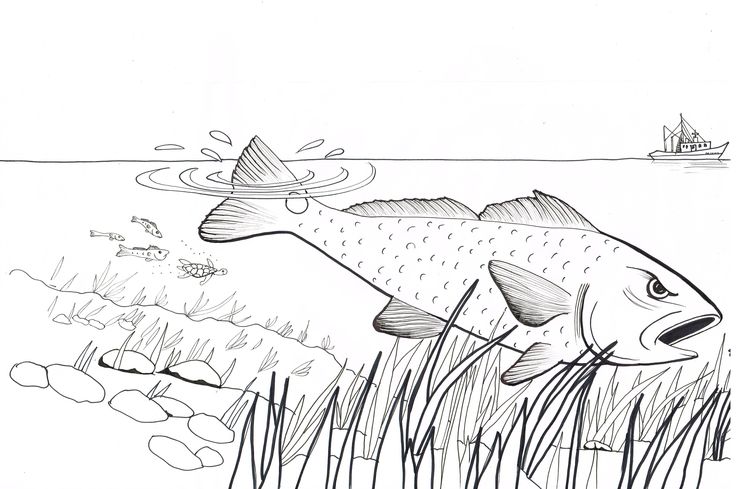 Coloring pages moose art red fish