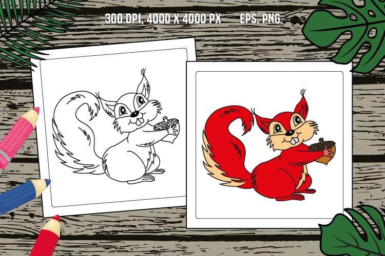 Cartoon funny squirrel for coloring page