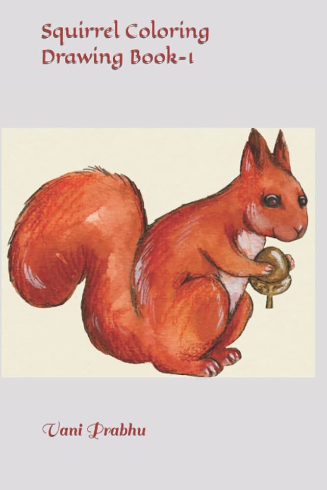 Squirrel coloring drawing book