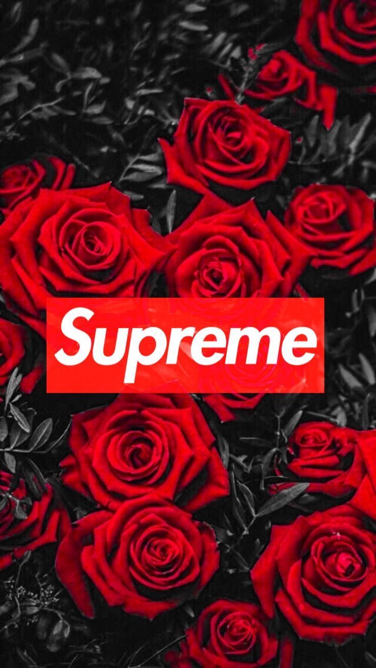 Red roses supreme s on