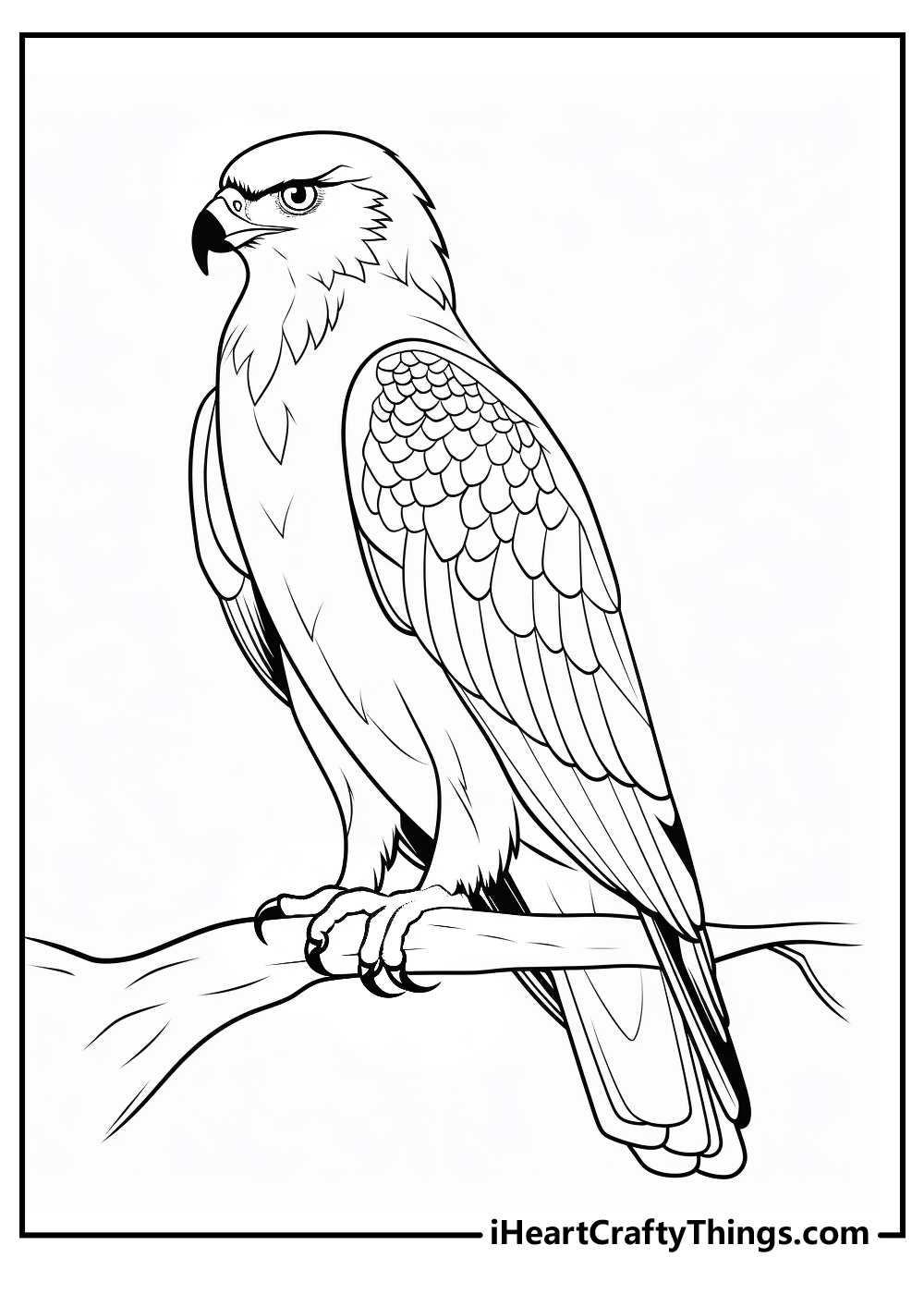 Hawk animals coloring pages free printables