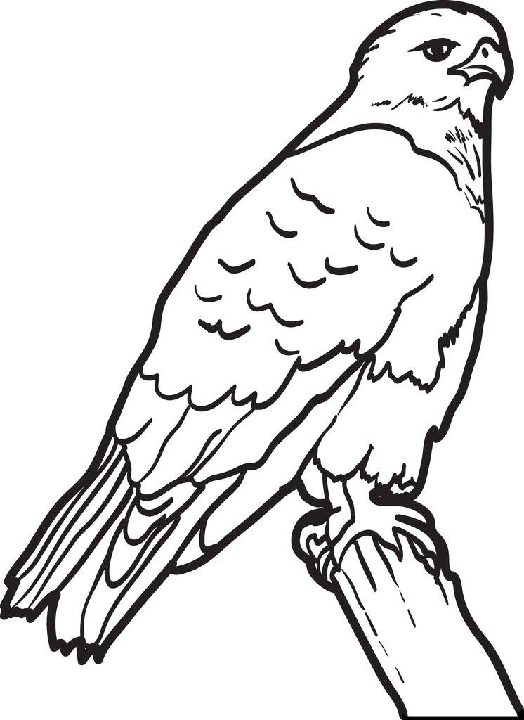 Printable hawk coloring page for kids â