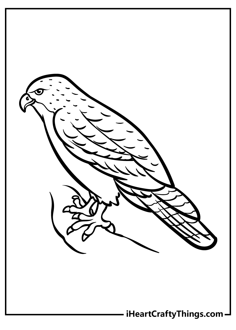 Hawk animals coloring pages free printables