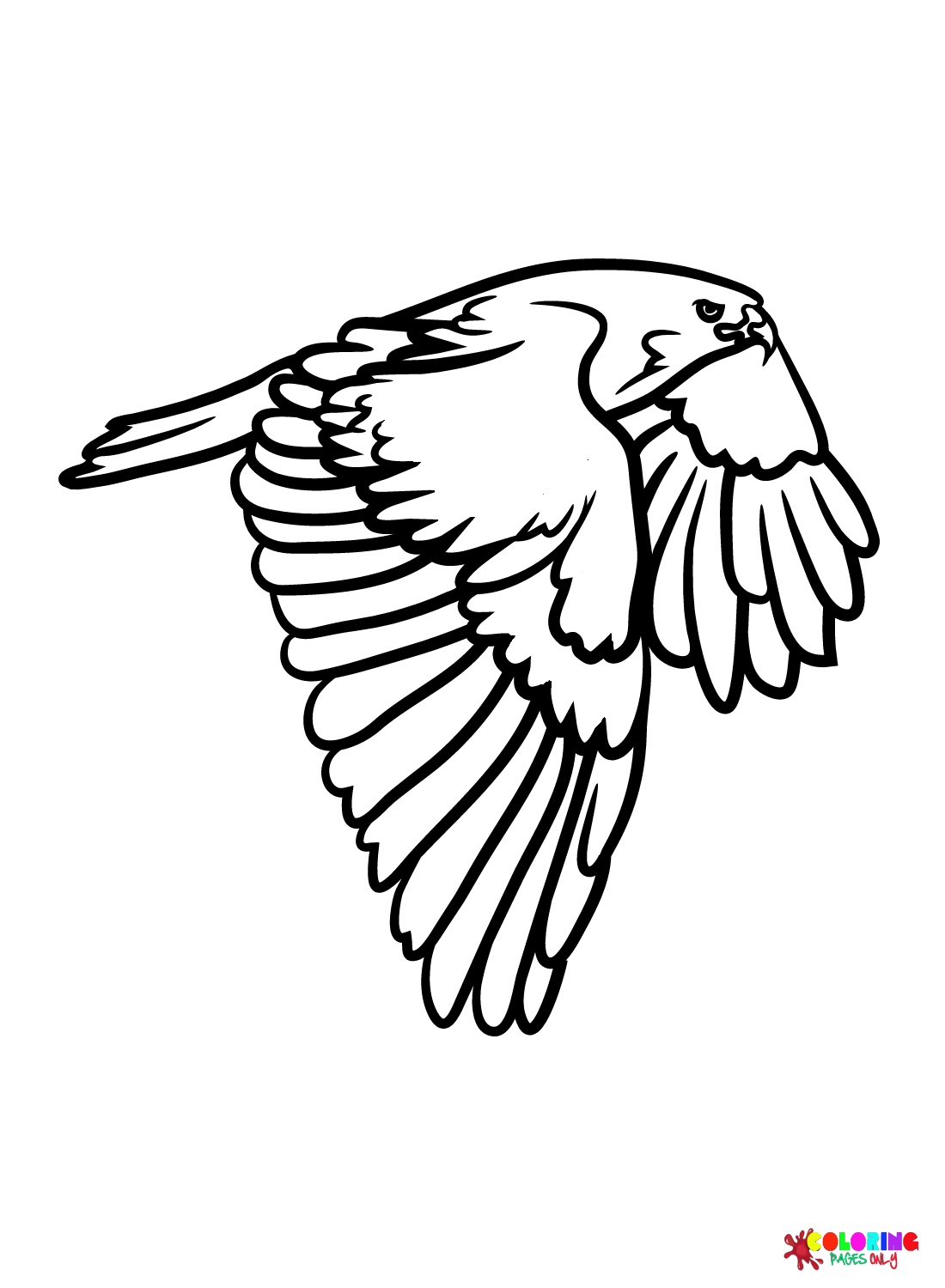 Hawks coloring pages printable for free download