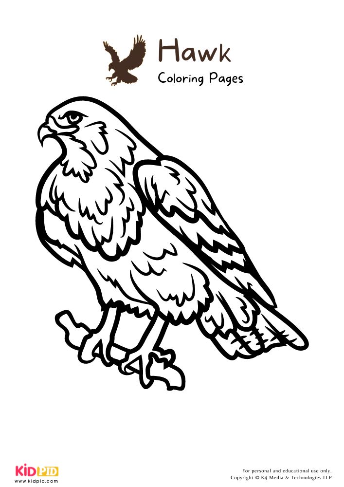 Hawk colorg pages for kids â free prtables colorg pages colorg pages for kids prtables free kids