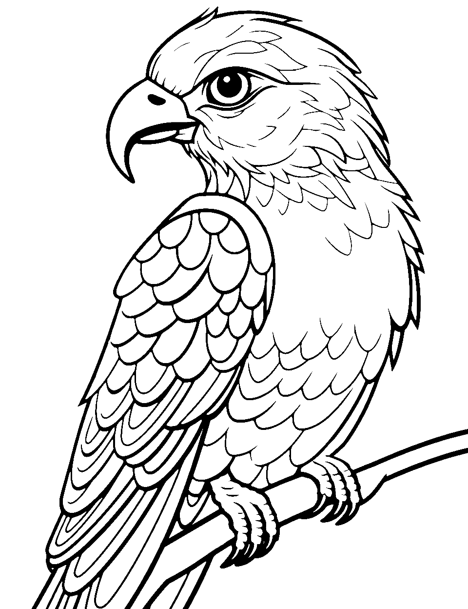 Bird coloring pages free printable sheets