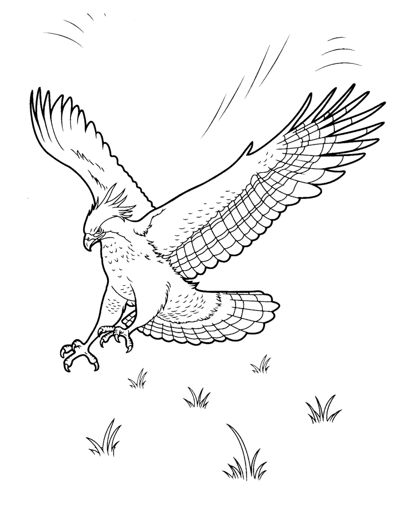 Coloring page