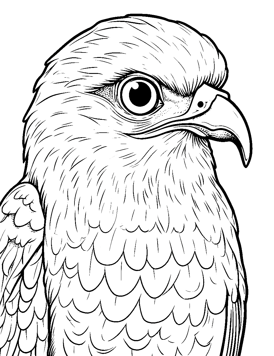 Bird coloring pages free printable sheets