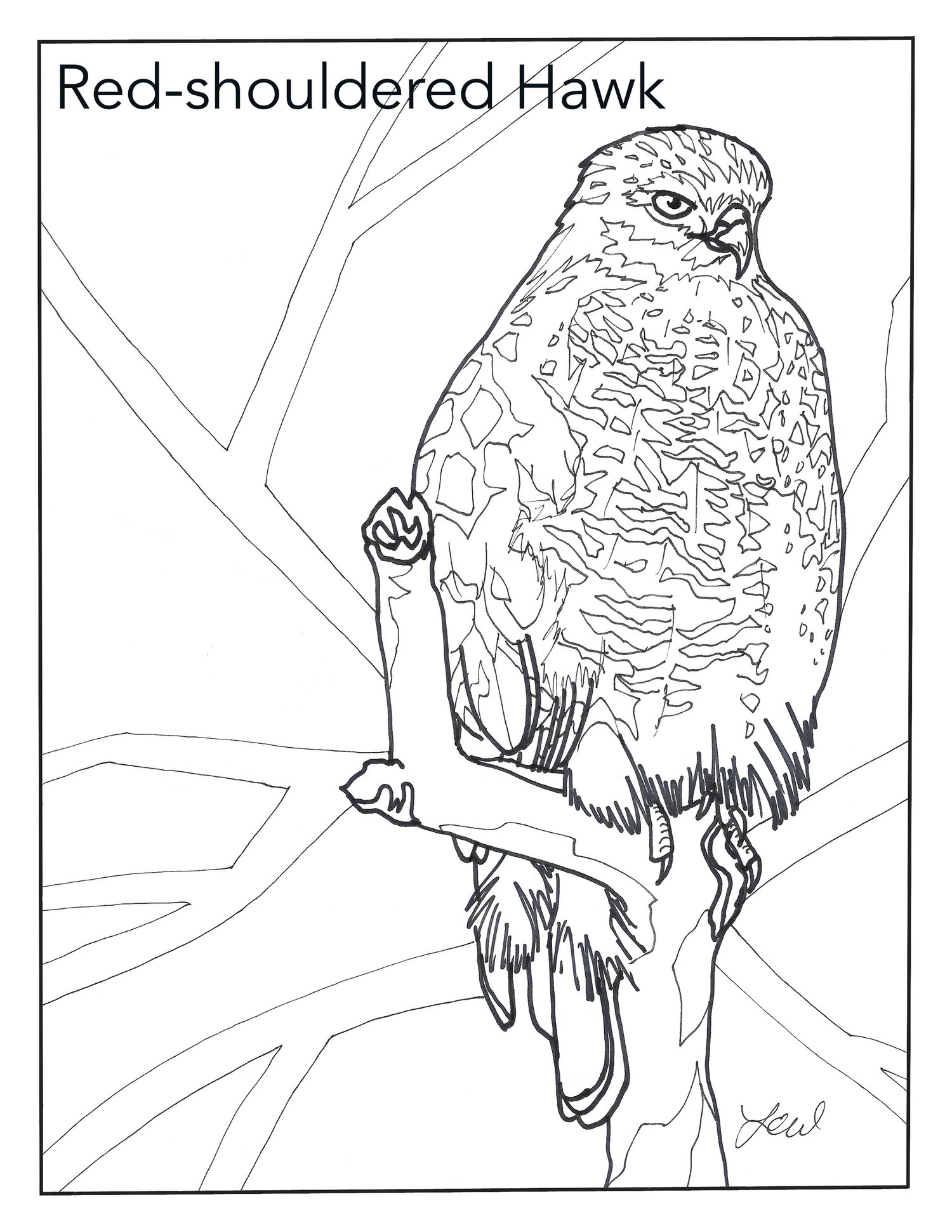 Free coloring pages â laura wolf artist