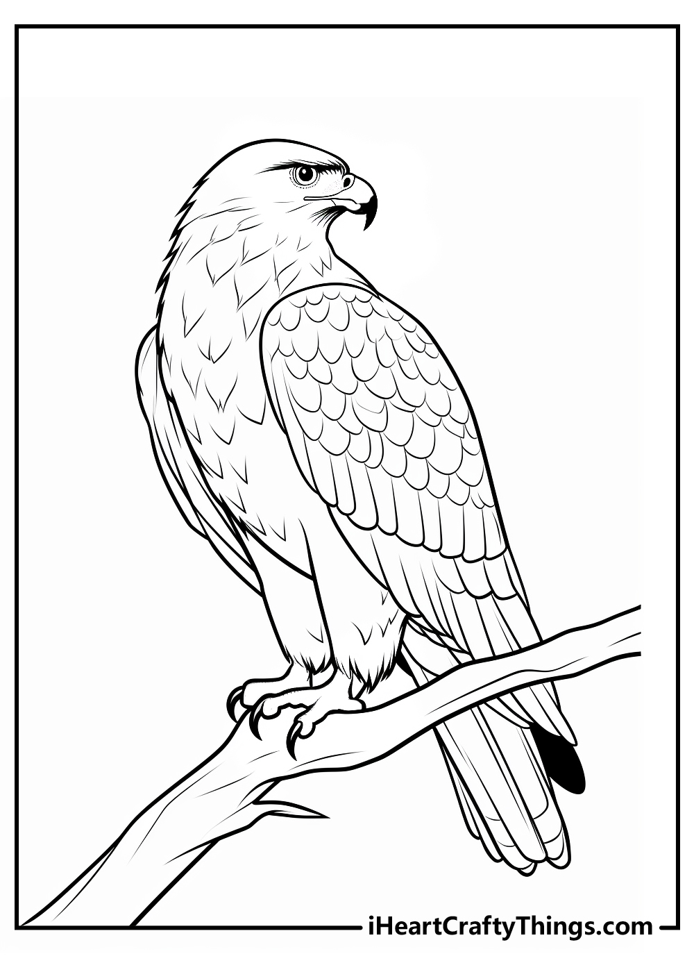 Hawk animals coloring pages free printables