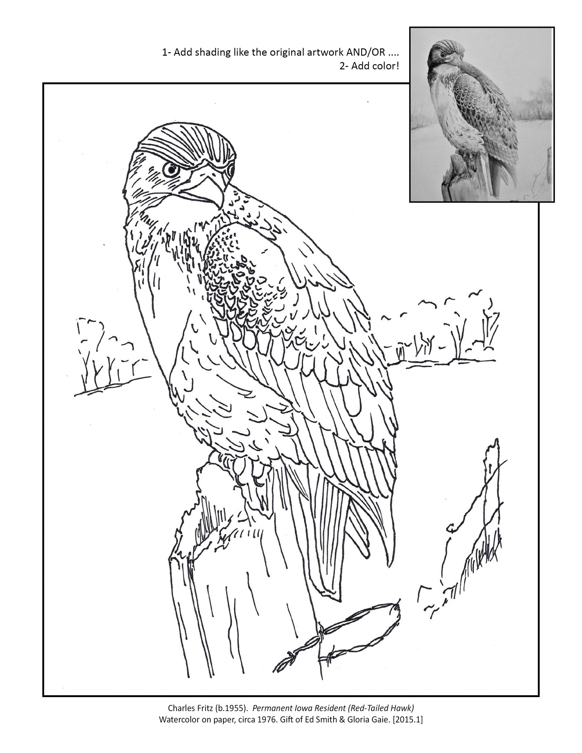 Coloring pages charles h macnider art museum