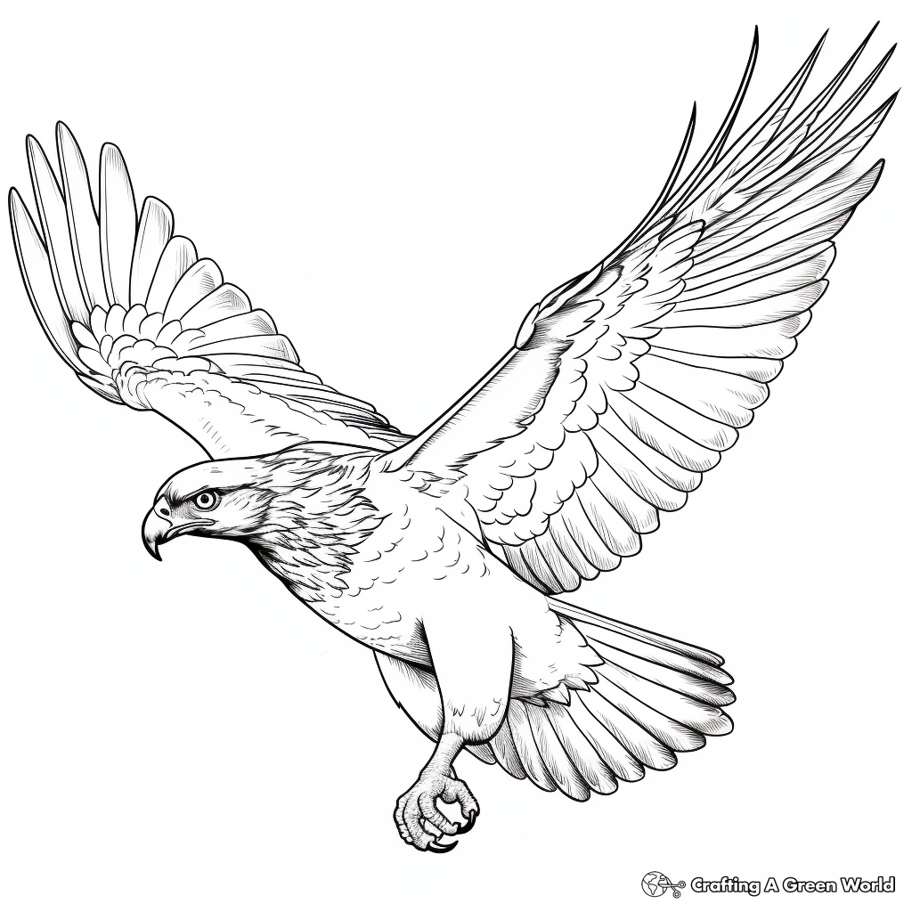 Red tailed hawk coloring pages