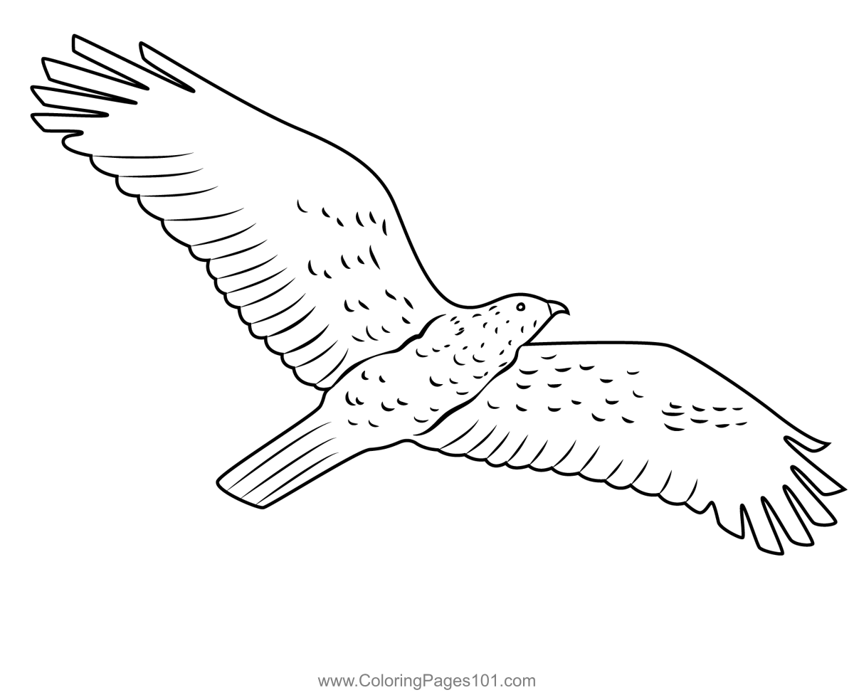 Flying eagle coloring page for kids