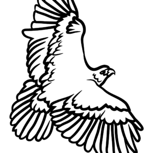 Hawks coloring pages printable for free download