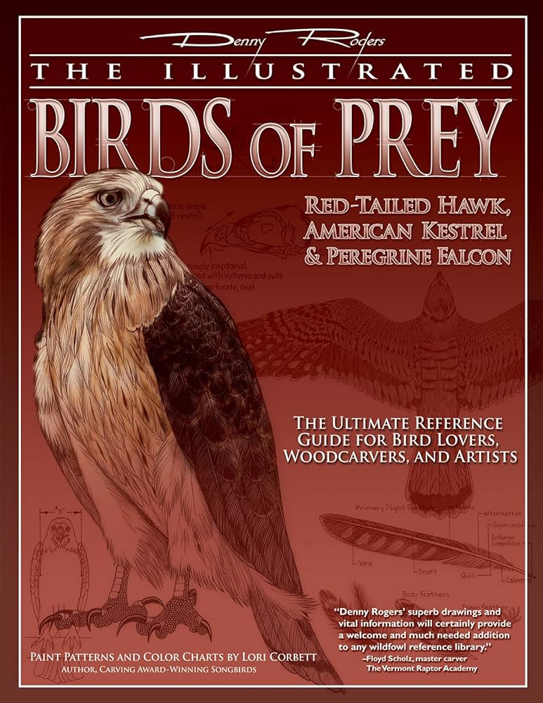 The illustrated birds of prey red tailed hawk american kestrel and peregrine falcon rogers denny books