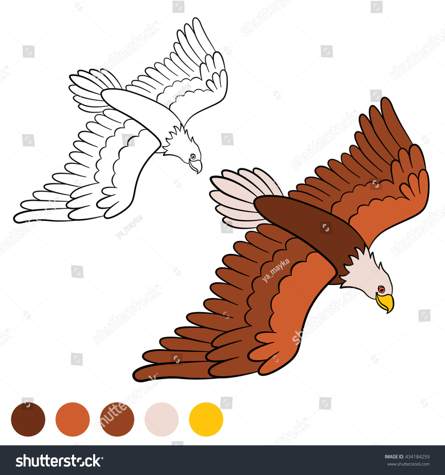 Coloring page cute bald eagle flying stock vector royalty free